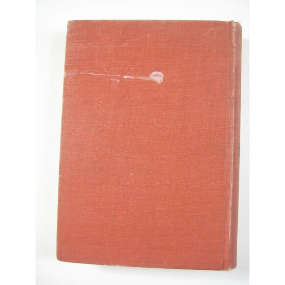 A Daughter Of The Tenements Edward W Townsend 1895 Red Hardcover - Picture 10 of 11